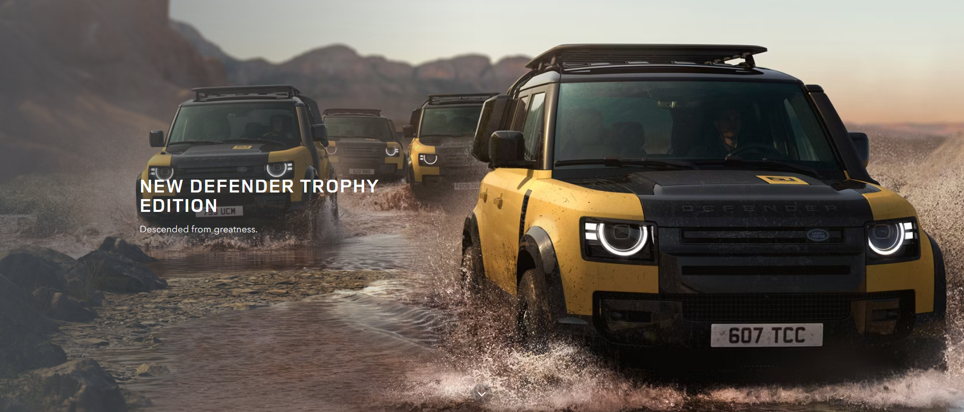 Defender x Trophy Collection Defender x Trophy Collection
